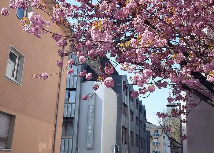 Ξενοδοχείο Vch Spenerhaus Frankfurt A Φραγκφούρτη